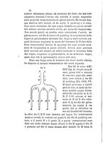 giornale/RAV0100406/1888/Ser.2-V.24/00000024