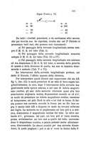 giornale/RAV0100406/1893/Ser.2-V.33/00000223