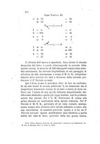 giornale/RAV0100406/1893/Ser.2-V.33/00000302