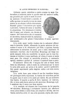 giornale/RAV0100406/1894/Ser.2-V.35/00000151