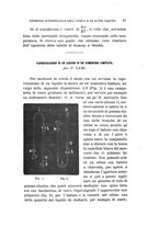 giornale/RAV0100406/1897/Ser.4-V.5/00000033