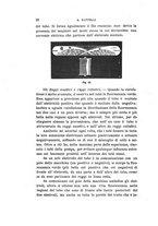 giornale/RAV0100406/1898/Ser.4-V.7/00000102