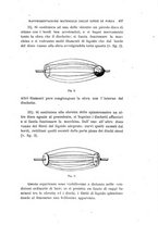 giornale/RAV0100406/1898/Ser.4-V.8/00000457