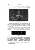 giornale/RAV0100406/1899/Ser.4-V.10/00000264