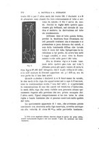 giornale/RAV0100406/1899/Ser.4-V.10/00000358