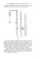 giornale/RAV0100406/1899/Ser.4-V.9/00000077