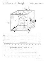 giornale/RAV0100406/1899/Ser.4-V.9/00000277