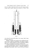 giornale/RAV0100406/1901/unico/00000033