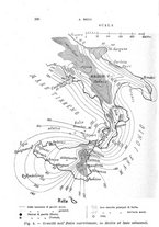 giornale/RAV0100406/1903/Ser.5-V.6/00000360