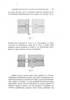 giornale/RAV0100406/1904/Ser.5-V.8/00000099