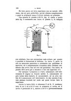 giornale/RAV0100406/1905/Ser.5-V.10/00000132
