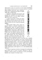 giornale/RAV0100406/1905/Ser.5-V.10/00000427