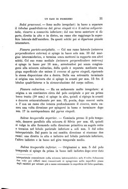 Rivista di antropologia atti della Società romana di antropologia