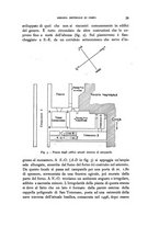 giornale/RAV0100942/1928/unico/00000043