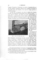 giornale/RAV0100942/1928/unico/00000046