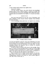 giornale/RAV0100942/1928/unico/00000372