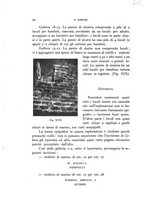 giornale/RAV0100942/1929/unico/00000026