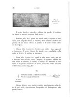 giornale/RAV0100942/1934/unico/00000030