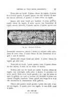 giornale/RAV0100942/1934/unico/00000041