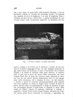 giornale/RAV0100942/1934/unico/00000382