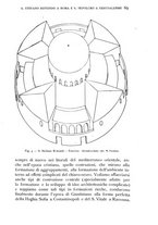 giornale/RAV0100942/1935/unico/00000077