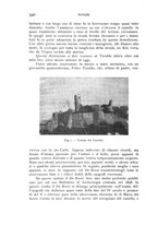 giornale/RAV0100942/1935/unico/00000352