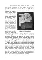 giornale/RAV0100942/1936/unico/00000139