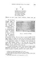 giornale/RAV0100942/1939/unico/00000237