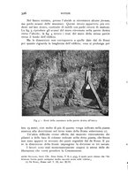 giornale/RAV0100942/1939/unico/00000334