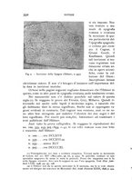 giornale/RAV0100942/1939/unico/00000340