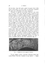 giornale/RAV0100942/1940/unico/00000052