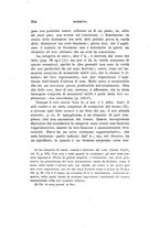 giornale/RAV0100957/1903/unico/00000244