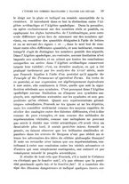 giornale/RAV0100970/1917/unico/00000631