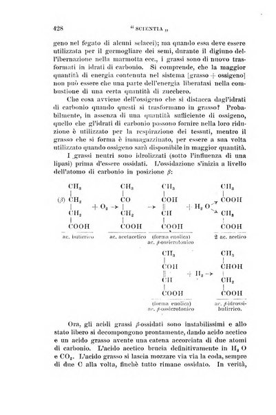 Scientia rivista di scienza