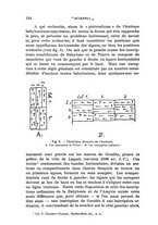 giornale/RAV0100970/1920/V.28/00000206