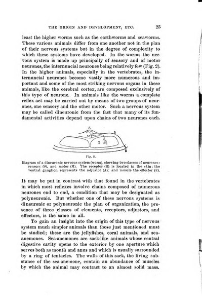 Scientia rivista di scienza