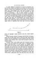 giornale/RAV0101893/1916/V.2/00000257