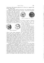 giornale/RAV0105511/1900/N.172/00000447