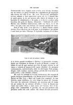 giornale/RAV0105511/1900/N.172/00000691