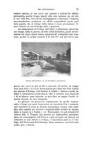 giornale/RAV0105511/1901/N.175/00000081