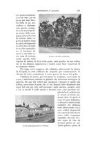 giornale/RAV0105511/1901/N.177/00000599