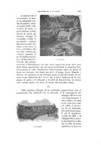 giornale/RAV0105511/1901/N.177/00000603