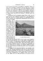 giornale/RAV0105511/1901/N.178/00000029