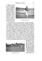 giornale/RAV0105511/1901/N.178/00000045