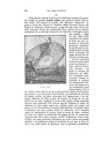 giornale/RAV0105511/1901/N.179/00000768