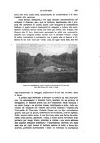 giornale/RAV0105511/1901/N.180/00000503