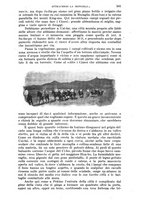 giornale/RAV0105511/1902/N.184/00000491