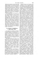 giornale/RAV0105511/1902/N.184/00000559