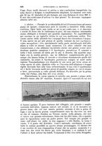 giornale/RAV0105511/1902/N.184/00000600