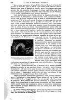 giornale/RAV0105511/1902/N.184/00000640